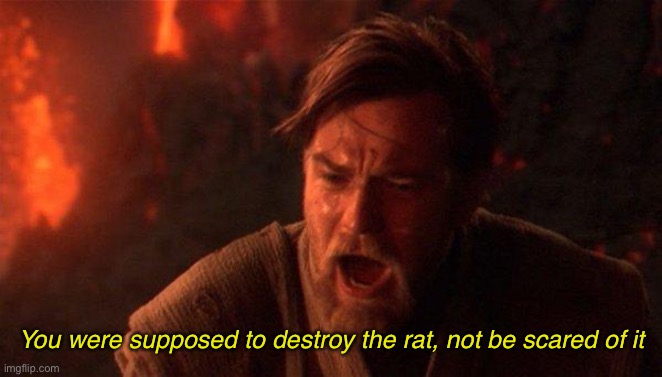 You Were The Chosen One (Star Wars) Meme | You were supposed to destroy the rat, not be scared of it | image tagged in memes,you were the chosen one star wars | made w/ Imgflip meme maker