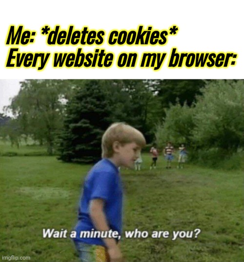 Wait a minute, who are you? | Me: *deletes cookies*
Every website on my browser: | image tagged in wait a minute who are you | made w/ Imgflip meme maker