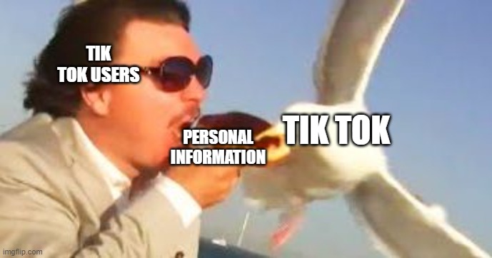 swiping seagull | TIK TOK USERS PERSONAL INFORMATION TIK TOK | image tagged in swiping seagull | made w/ Imgflip meme maker