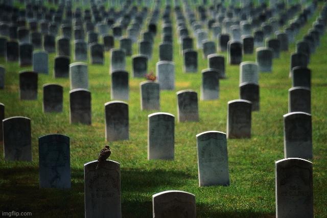 This is the graveyard, where we can honor those we lost in combat | image tagged in graveyard cemetary | made w/ Imgflip meme maker