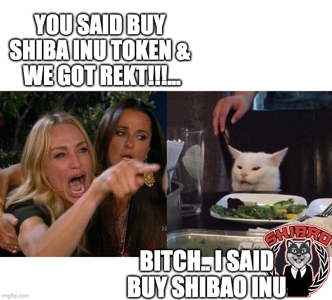 BITCH I SAID BUY SHIBAO INU | YOU SAID BUY SHIBA INU TOKEN &
 WE GOT REKT!!!... BITCH.. I SAID BUY SHIBAO INU | image tagged in memes,woman yelling at cat,cryptocurrency,nft,shibao inu,comedy genius | made w/ Imgflip meme maker