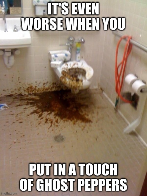 Girls poop too | IT'S EVEN WORSE WHEN YOU PUT IN A TOUCH OF GHOST PEPPERS | image tagged in girls poop too | made w/ Imgflip meme maker