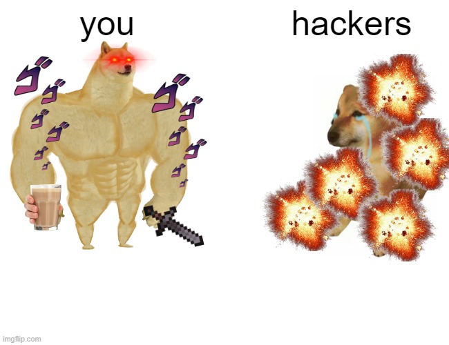 Buff Doge vs. Cheems | you; hackers | image tagged in memes,buff doge vs cheems | made w/ Imgflip meme maker