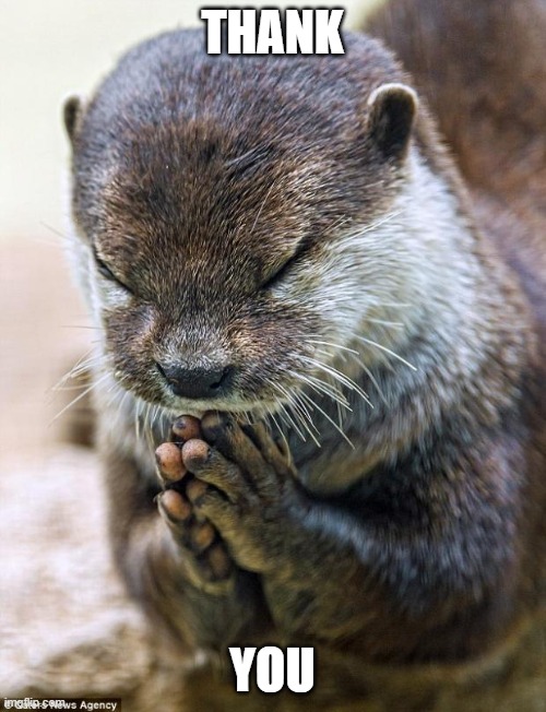 Thank you Lord Otter | THANK YOU | image tagged in thank you lord otter | made w/ Imgflip meme maker