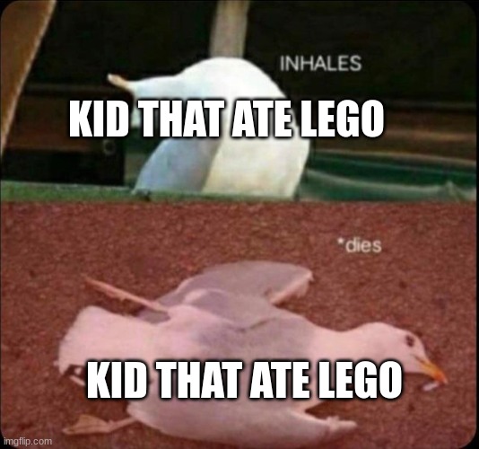 inhales dies bird | KID THAT ATE LEGO KID THAT ATE LEGO | image tagged in inhales dies bird | made w/ Imgflip meme maker