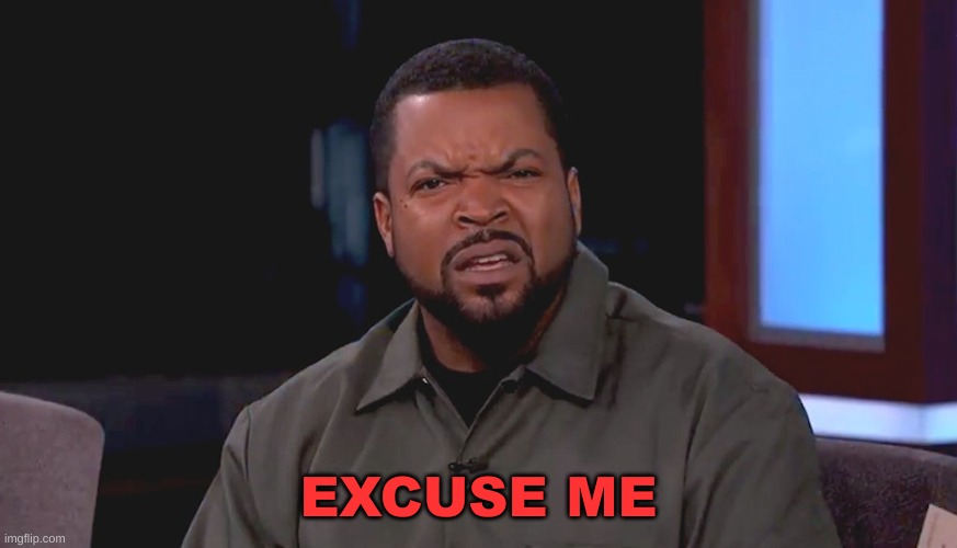 Really? Ice Cube | EXCUSE ME | image tagged in really ice cube | made w/ Imgflip meme maker