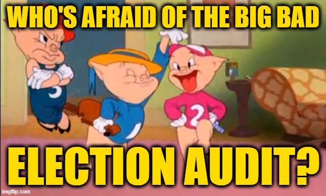 Get You Some of That | WHO'S AFRAID OF THE BIG BAD; ELECTION AUDIT? | image tagged in three little pigs,election audit,who's afraid of the big bad wolf | made w/ Imgflip meme maker