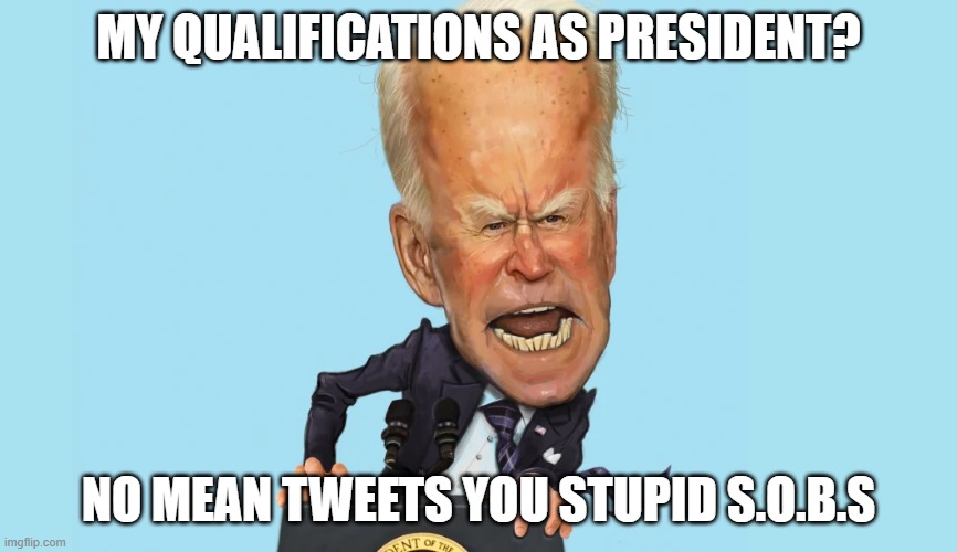 Say hello to the ideal . . . leftist president | MY QUALIFICATIONS AS PRESIDENT? NO MEAN TWEETS YOU STUPID S.O.B.S | image tagged in mean joe biden | made w/ Imgflip meme maker