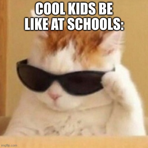cool kids | COOL KIDS BE LIKE AT SCHOOLS: | image tagged in cool,cool cat | made w/ Imgflip meme maker
