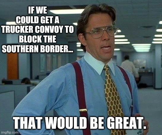 Keep the illegals out. | IF WE COULD GET A TRUCKER CONVOY TO BLOCK THE SOUTHERN BORDER... THAT WOULD BE GREAT. | image tagged in memes,that would be great | made w/ Imgflip meme maker