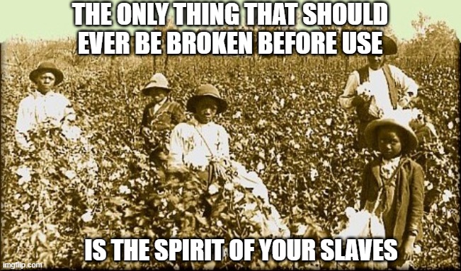 The Only Broken Thing to Use | THE ONLY THING THAT SHOULD EVER BE BROKEN BEFORE USE; IS THE SPIRIT OF YOUR SLAVES | image tagged in cotton slaves | made w/ Imgflip meme maker