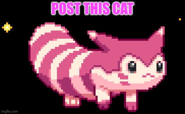 The mods are sleep. Quick post cats! | POST THIS CAT | image tagged in post,this,cat,but why tho | made w/ Imgflip meme maker