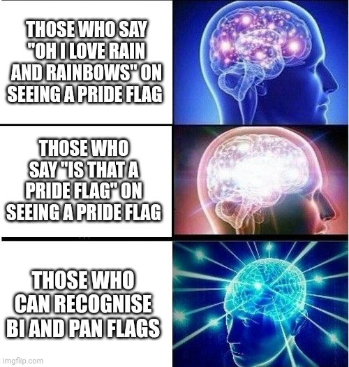 Pov you're in a conservative country | THOSE WHO SAY "OH I LOVE RAIN AND RAINBOWS" ON SEEING A PRIDE FLAG; THOSE WHO SAY "IS THAT A PRIDE FLAG" ON SEEING A PRIDE FLAG; THOSE WHO CAN RECOGNISE BI AND PAN FLAGS | image tagged in expanding brain 3 panels | made w/ Imgflip meme maker