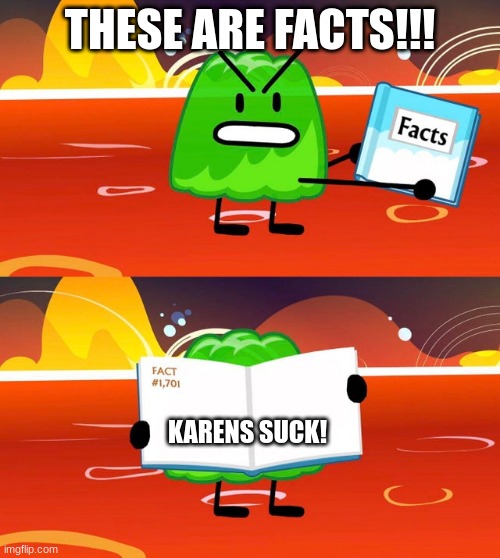 THESE ARE FACTS!!!  (no offense if your a Karen but nice) | THESE ARE FACTS!!! KARENS SUCK! | image tagged in gelatin's book of facts | made w/ Imgflip meme maker
