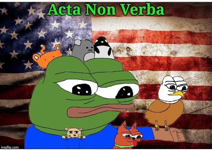 New flag idea | Acta Non Verba | image tagged in imgflip,president,flag,pepe | made w/ Imgflip meme maker