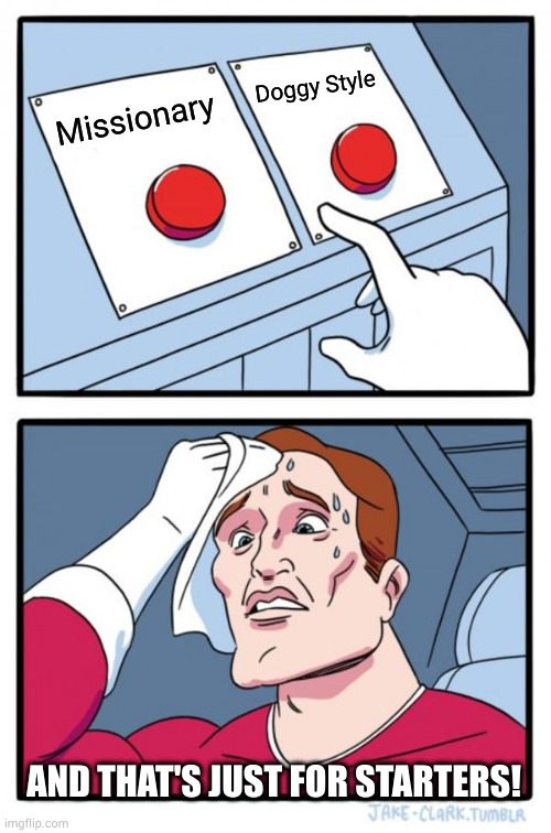 But wait, there's more! | Doggy Style; Missionary; AND THAT'S JUST FOR STARTERS! | image tagged in memes,two buttons | made w/ Imgflip meme maker