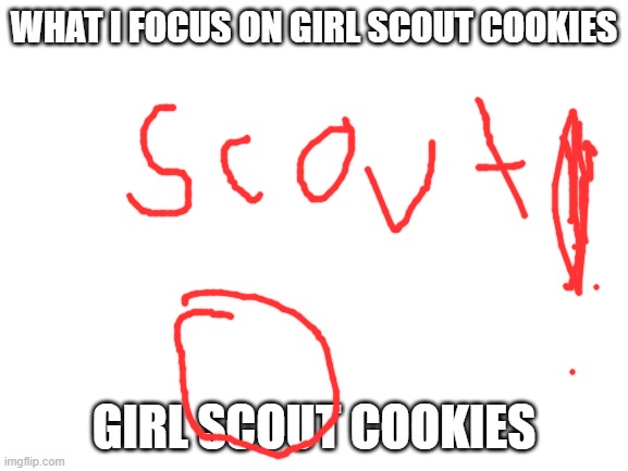 Blank White Template | WHAT I FOCUS ON GIRL SCOUT COOKIES GIRL SCOUT COOKIES | image tagged in blank white template | made w/ Imgflip meme maker