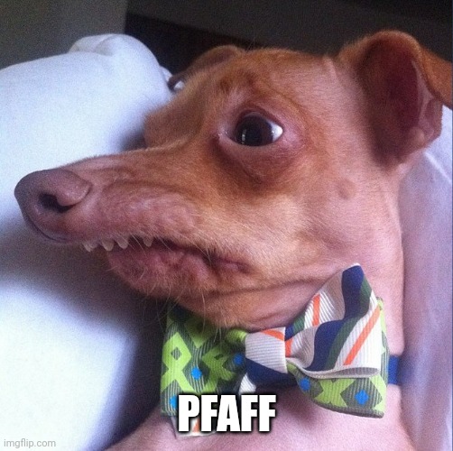 Overbite dog | PFAFF | image tagged in overbite dog | made w/ Imgflip meme maker