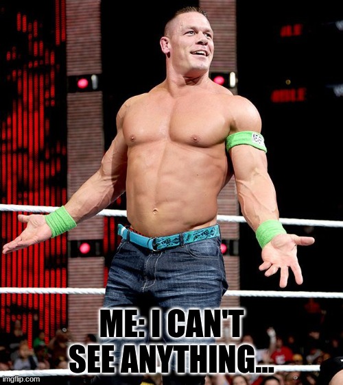 You can't see me | ME: I CAN'T SEE ANYTHING... | image tagged in john cena laughing,john cena,wwe | made w/ Imgflip meme maker