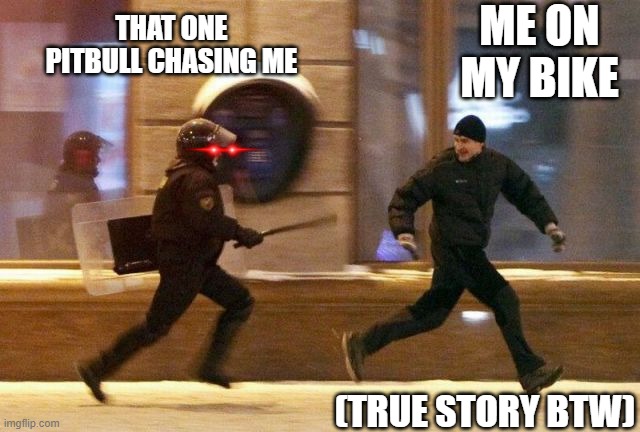 Police Chasing Guy | ME ON MY BIKE; THAT ONE PITBULL CHASING ME; (TRUE STORY BTW) | image tagged in police chasing guy | made w/ Imgflip meme maker