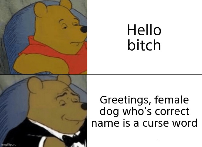 Tuxedo Winnie The Pooh Meme | Hello bitch; Greetings, female dog who's correct name is a curse word | image tagged in memes,tuxedo winnie the pooh | made w/ Imgflip meme maker