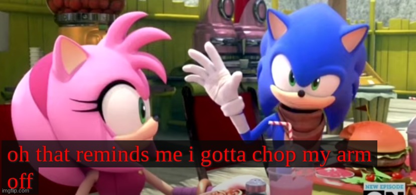 Sonic Boom Funny Moments #16 | image tagged in sonic boom,sonic the hedgehog | made w/ Imgflip meme maker