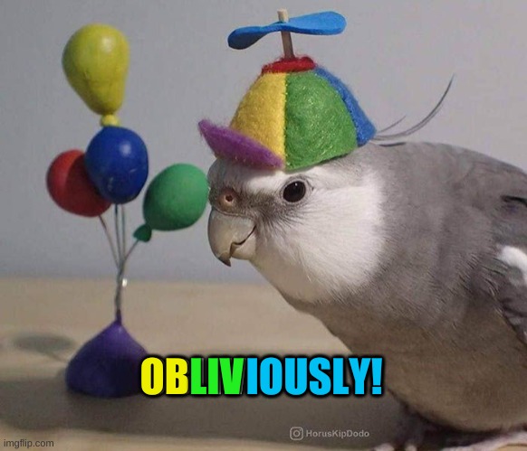 OB LIV IOUSLY! | made w/ Imgflip meme maker