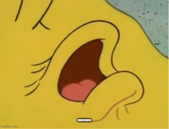 Spongebob Whispers | HOUSEHOLD | image tagged in spongebob whispers | made w/ Imgflip meme maker