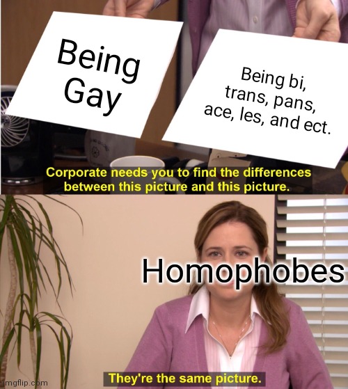 Hi? | Being Gay; Being bi, trans, pans, ace, les, and ect. Homophobes | image tagged in memes,they're the same picture | made w/ Imgflip meme maker