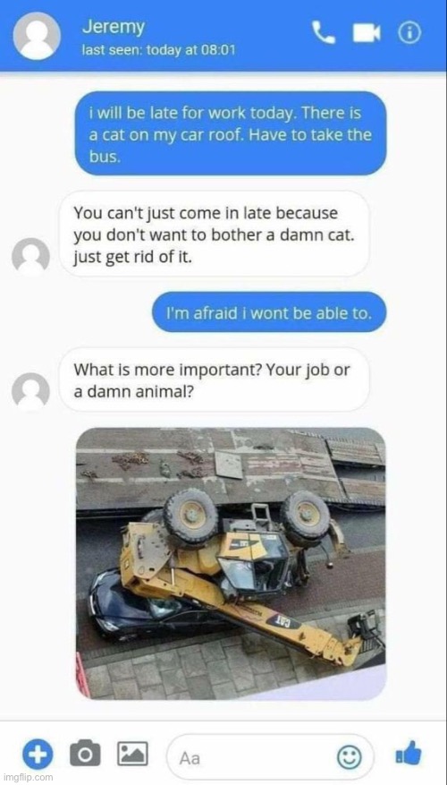 That’s a big cat | image tagged in cat | made w/ Imgflip meme maker