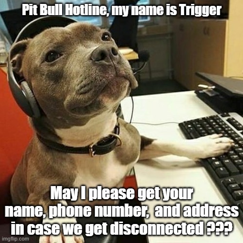 If you get attacked by a pit bull, there's help | Pit Bull Hotline, my name is Trigger; May I please get your name, phone number,  and address in case we get disconnected ??? | image tagged in pit bull tech support | made w/ Imgflip meme maker