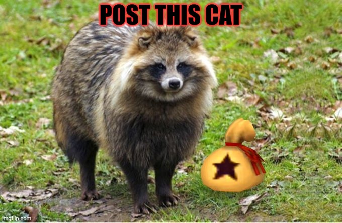 Post this cat | POST THIS CAT | image tagged in post,this,cat,just do it,i dont know why i do,children | made w/ Imgflip meme maker