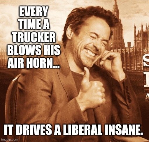 I'm getting an air horn today. | EVERY TIME A TRUCKER BLOWS HIS AIR HORN... IT DRIVES A LIBERAL INSANE. | image tagged in laughing | made w/ Imgflip meme maker