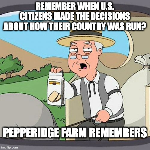 Pepperidge Farm Remembers Meme | REMEMBER WHEN U.S. CITIZENS MADE THE DECISIONS ABOUT HOW THEIR COUNTRY WAS RUN? PEPPERIDGE FARM REMEMBERS | image tagged in memes,pepperidge farm remembers | made w/ Imgflip meme maker