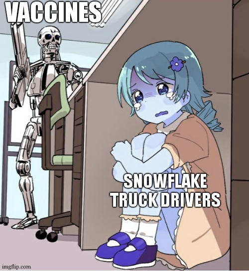 Stupid truckers | VACCINES; SNOWFLAKE TRUCK DRIVERS | image tagged in anime girl hiding from terminator | made w/ Imgflip meme maker