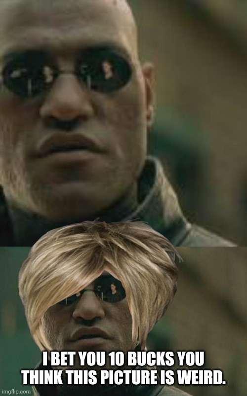 Matrix morpheus with hair. | I BET YOU 10 BUCKS YOU THINK THIS PICTURE IS WEIRD. | image tagged in memes,matrix morpheus | made w/ Imgflip meme maker
