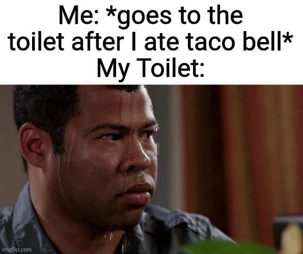 RIP Toilet | Me: *goes to the toilet after I ate taco bell*
My Toilet: | image tagged in sweating bullets | made w/ Imgflip meme maker