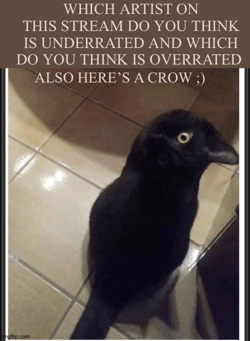 Here’s a crow and a question for you amazing artists | WHICH ARTIST ON THIS STREAM DO YOU THINK IS UNDERRATED AND WHICH DO YOU THINK IS OVERRATED; ALSO HERE’S A CROW ;) | image tagged in drawing,memes,crow,question,cat | made w/ Imgflip meme maker