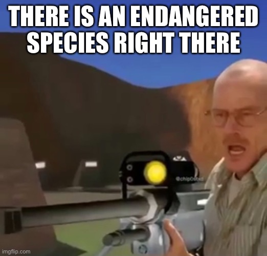 THERE IS AN ENDANGERED SPECIES RIGHT THERE | made w/ Imgflip meme maker