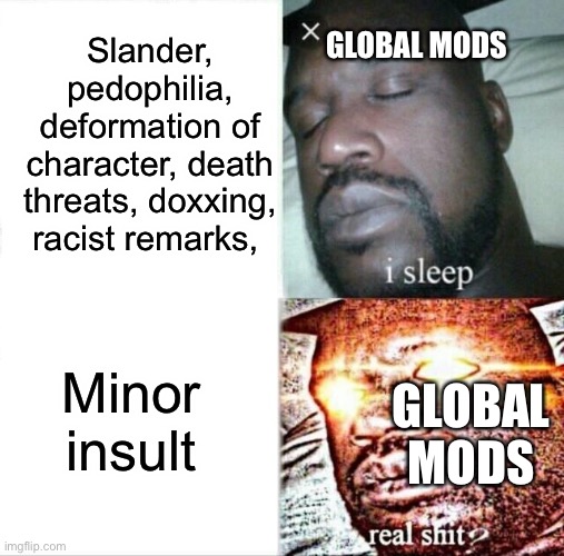 Worst part is that i couldn’t put this in fun stream because global mods ego or something | Slander, pedophilia, deformation of character, death threats, doxxing, racist remarks, GLOBAL MODS; Minor insult; GLOBAL MODS | image tagged in memes,sleeping shaq | made w/ Imgflip meme maker