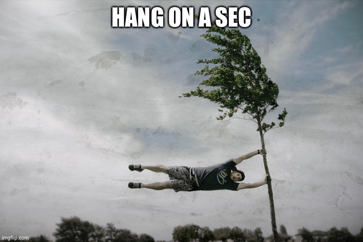 hanging on | HANG ON A SEC | image tagged in hanging on | made w/ Imgflip meme maker