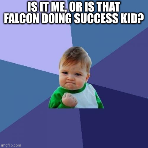 Success Kid Meme | IS IT ME, OR IS THAT FALCON DOING SUCCESS KID? | image tagged in memes,success kid | made w/ Imgflip meme maker