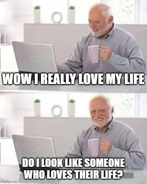 me irl | WOW I REALLY LOVE MY LIFE; DO I LOOK LIKE SOMEONE WHO LOVES THEIR LIFE? | image tagged in memes,hide the pain harold | made w/ Imgflip meme maker