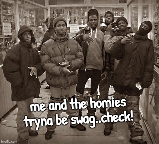 We TRIED.. | me and the homies tryna be swag..check! | image tagged in all my homies hate,geek week,homies,memes | made w/ Imgflip meme maker