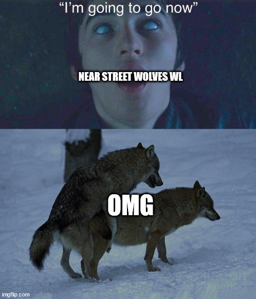 NEAR STREET WOLVES WL; OMG | made w/ Imgflip meme maker