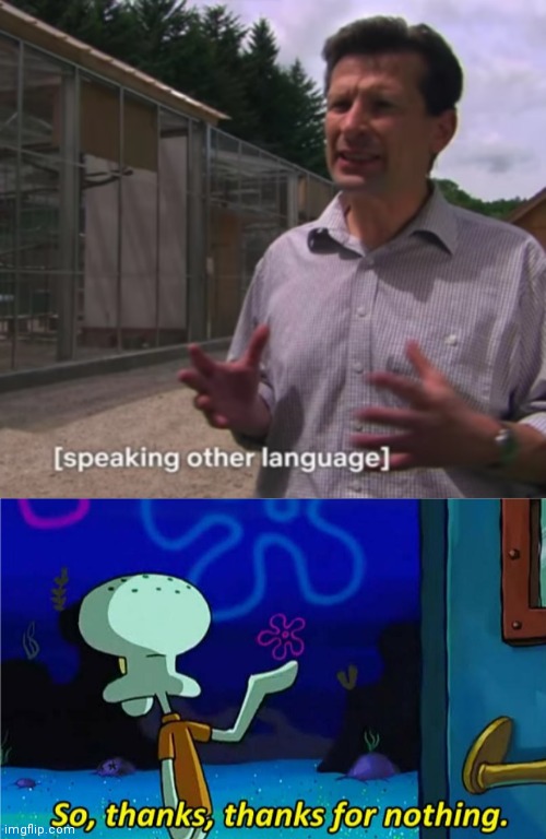 Thanks for nothing, translator | image tagged in squidward thanks for nothing,funny,memes,funny memes,translation,gifs | made w/ Imgflip meme maker