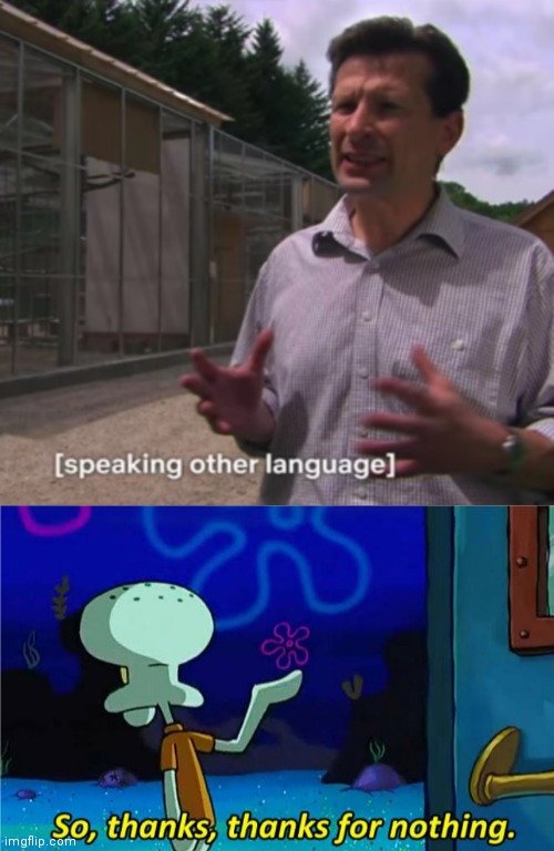 Language and Translation Memes