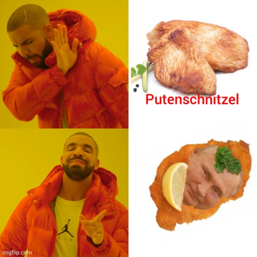 Putin | image tagged in memes,drake hotline bling | made w/ Imgflip meme maker