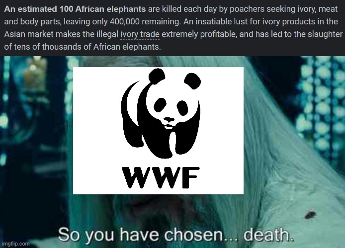 Please save the elephants... T-T | image tagged in so you have chosen death | made w/ Imgflip meme maker