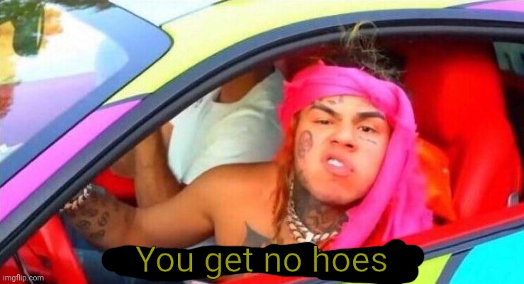 6ix 9ine who the fuck is you | You get no hoes | image tagged in 6ix 9ine who the fuck is you | made w/ Imgflip meme maker